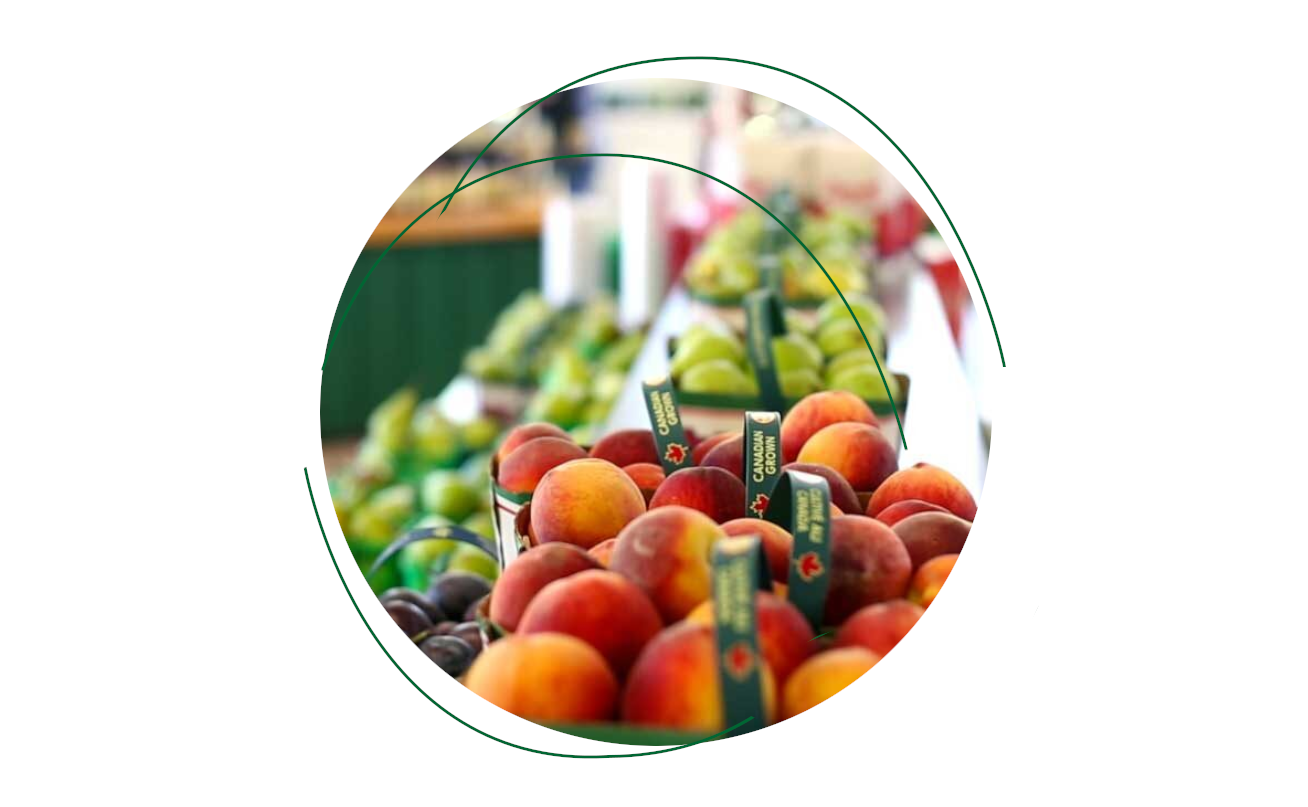 Agri Impact-1685467190.png